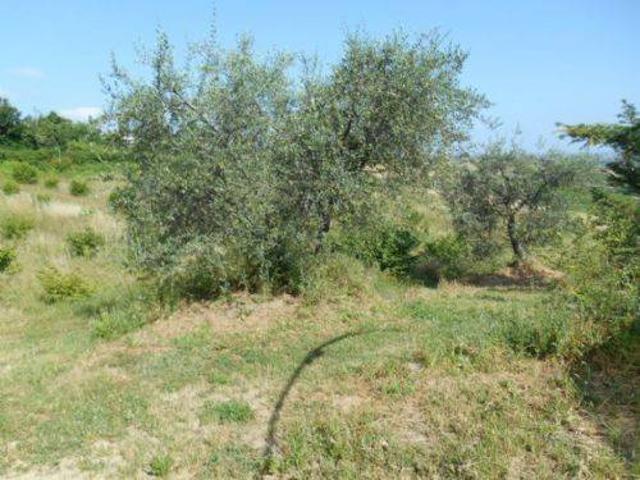 Terreno in vendita a Verucchio RN
