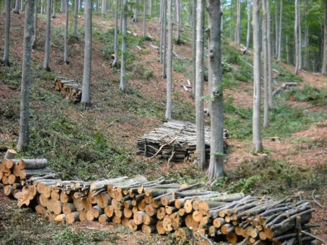 Terreno in vendita a Vetralla VT