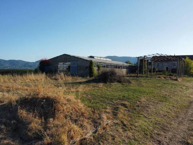 Terreno in vendita a Vinci FI