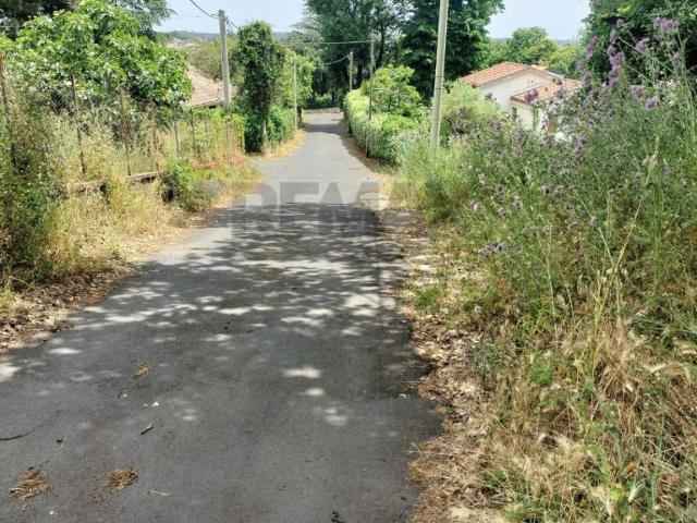 Terreno in vendita a Viagrande CT