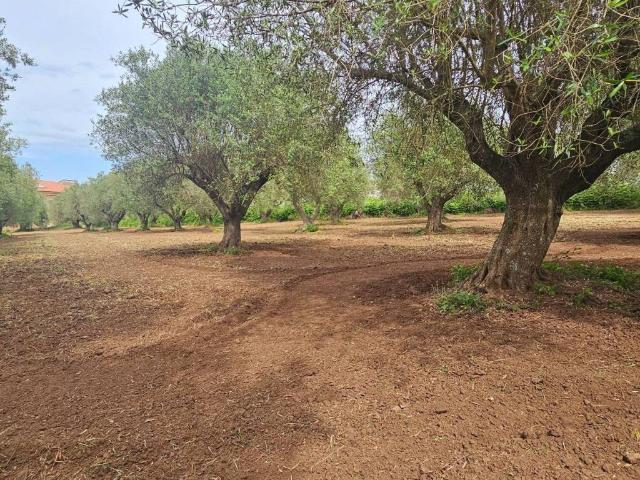 Terreno in vendita a Vibo Valentia VV