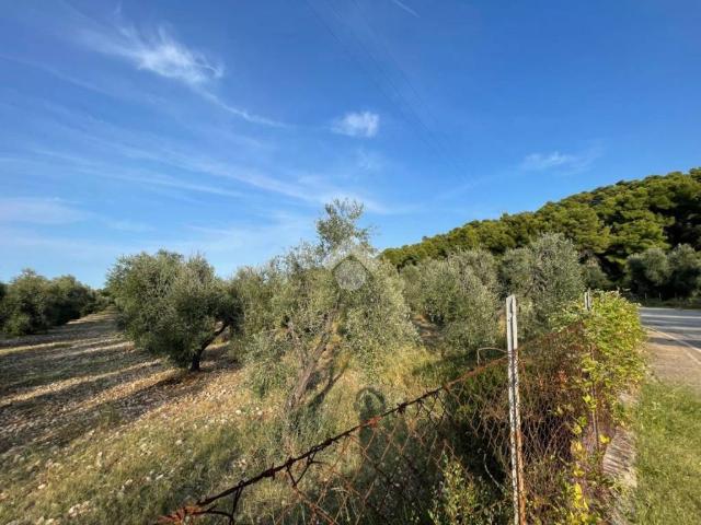 Terreno in vendita a Vieste FG