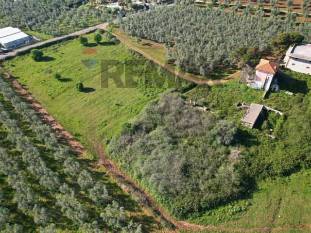 Terreno in vendita a Vieste FG