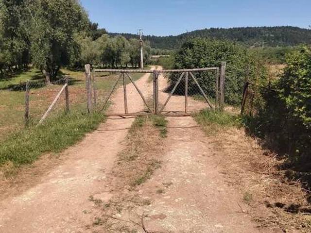 Terreno in vendita a Vieste FG