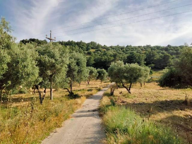 Terreno in vendita a Vieste FG