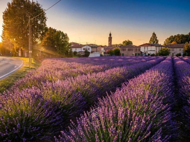 Terreno in vendita a Vigarano Mainarda FE