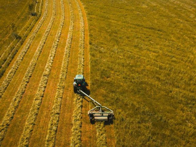 Terreno in vendita a Vigonza PD