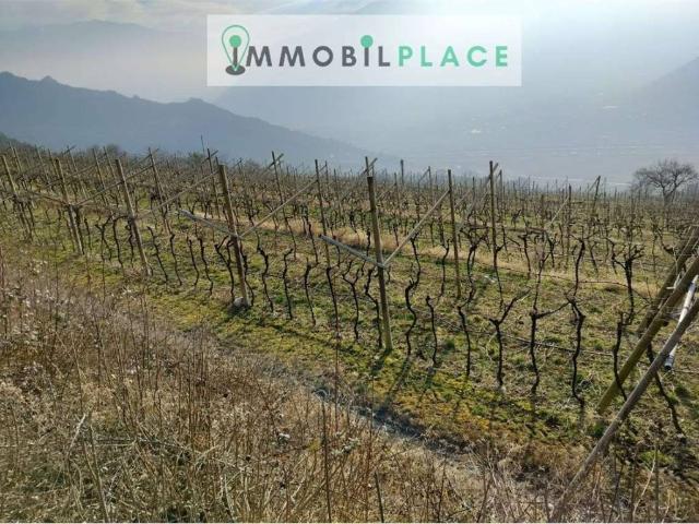 Terreno in vendita a Villa Lagarina TN