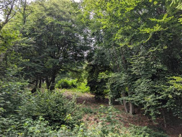Terreno in vendita a Villa Lagarina TN
