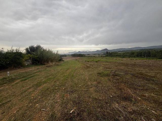 Terreno in vendita a Villamassargia SU