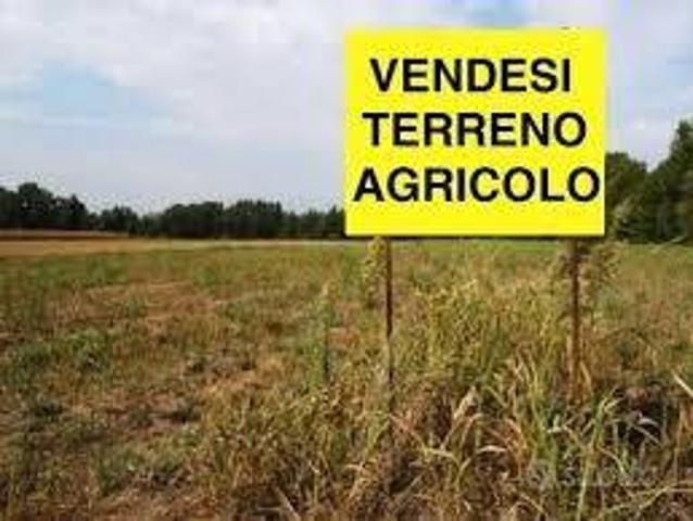 Terreno in vendita a Villanova di Camposampiero PD