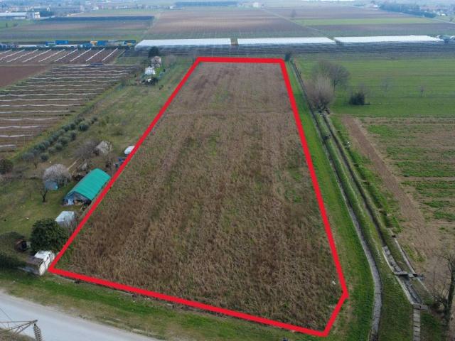 Terreno in vendita a Villafranca di Verona VR
