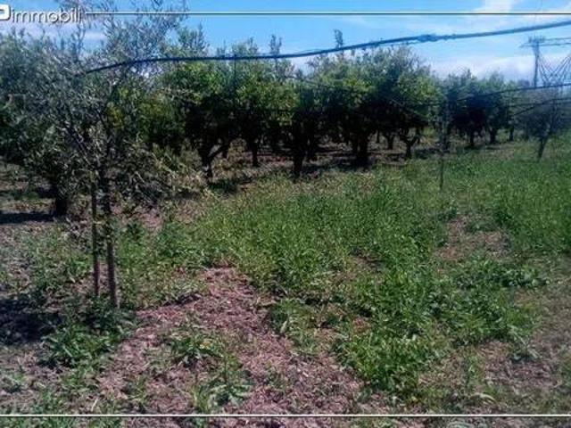 Terreno in vendita a Villapiana CS