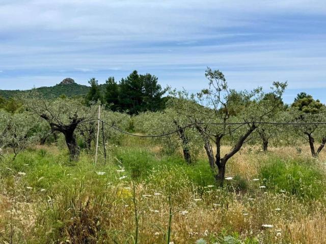 Terreno in vendita a Villasimius CA