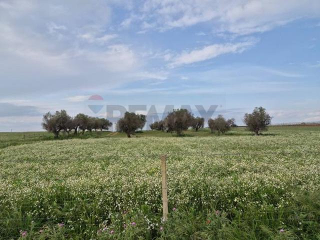 Terreno in vendita a Vittoria