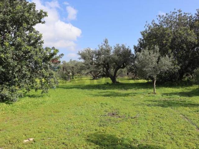 Terreno in vendita a Vittoria
