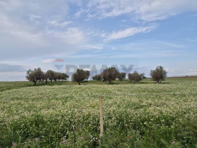 Terreno in vendita a Vittoria RG