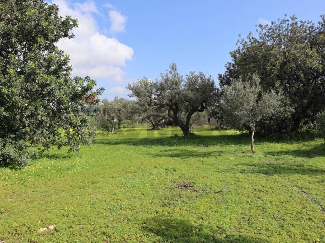 Terreno in vendita a Vittoria RG