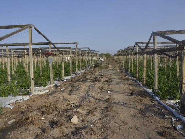 Terreno in vendita a Vittoria RG
