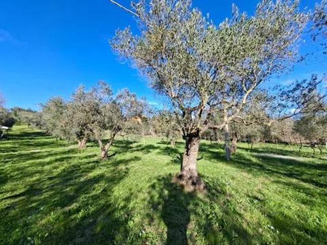 Terreno in vendita a Viterbo VT