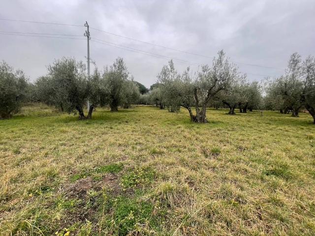 Terreno in vendita a Viterbo VT