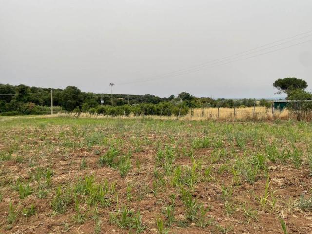 Terreno in vendita a Viterbo VT