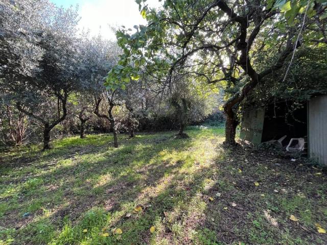 Terreno in vendita a Viterbo VT