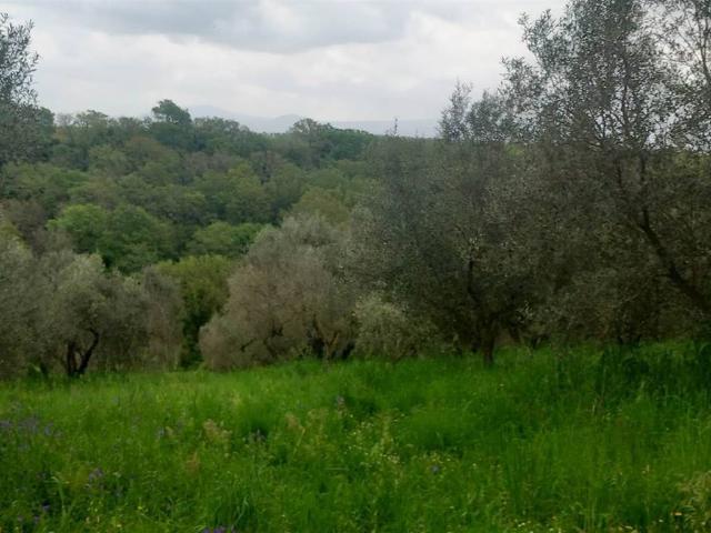 Terreno in vendita a Viterbo VT