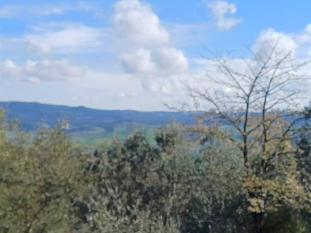 Terreno in vendita a Volterra PI
