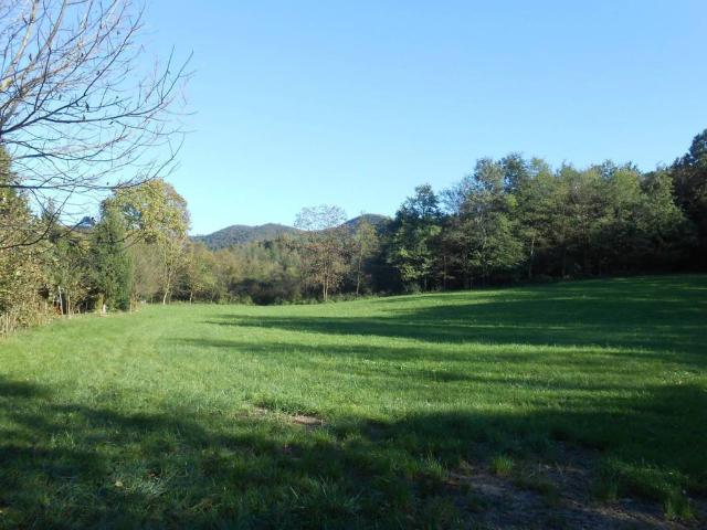 Terreno in vendita a Zandobbio BG