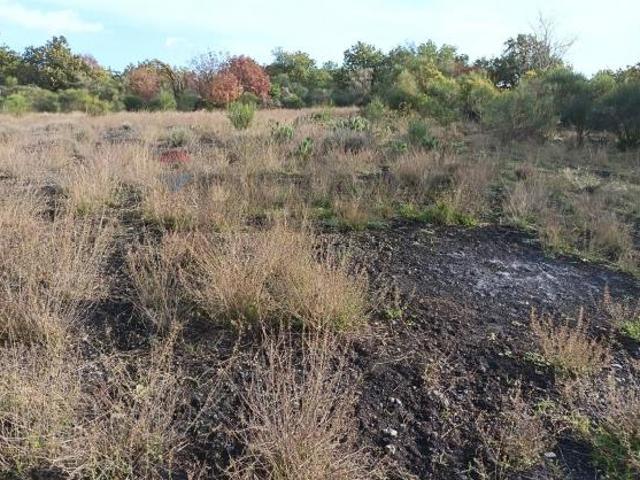 Terreno in vendita a Zafferana Etnea