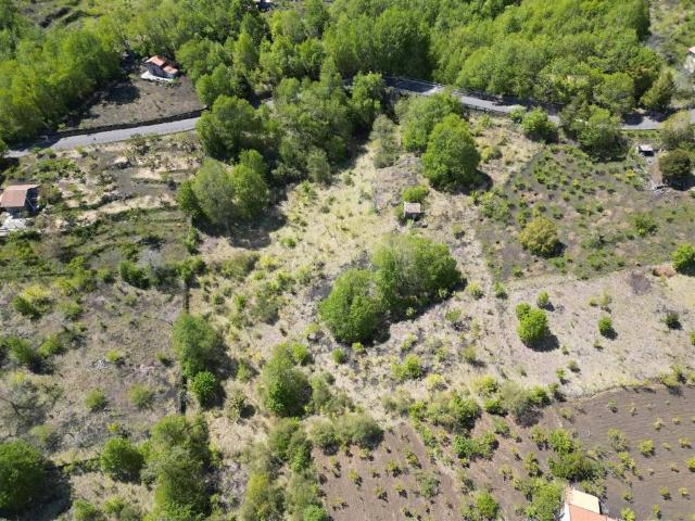 Terreno in vendita a Zafferana Etnea CT