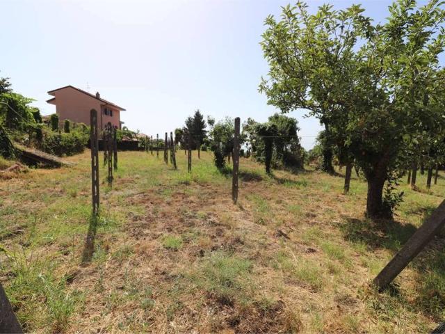 Terreno in vendita a Zafferana Etnea CT