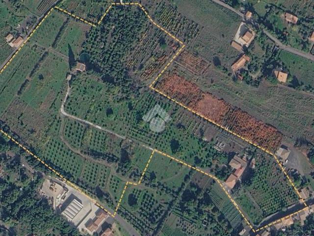 Terreno in vendita a Zafferana Etnea CT