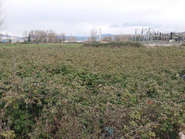 Terreno in vendita a Acerra NA