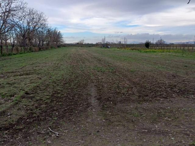 Terreno in vendita a Acerra NA