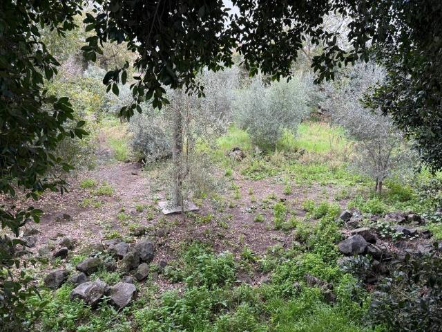 Terreno in vendita a Acireale CT