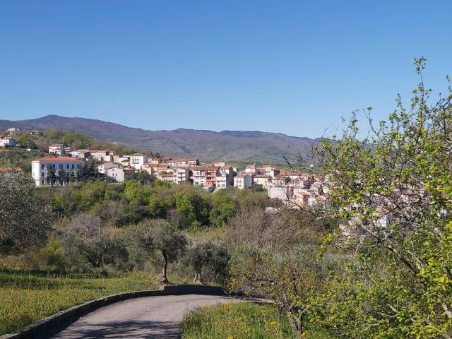 Terreno in vendita a Acquaviva Collecroce CB