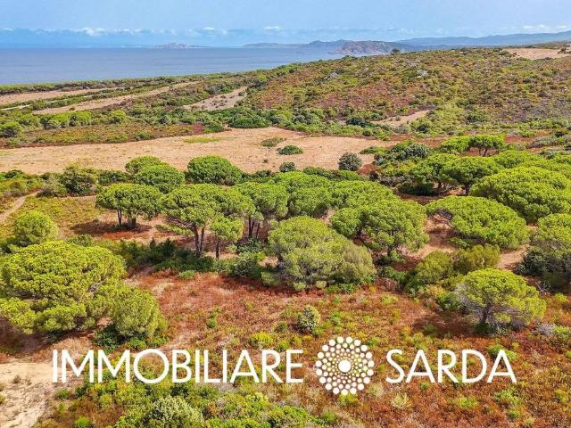Terreno in vendita a Aglientu SS