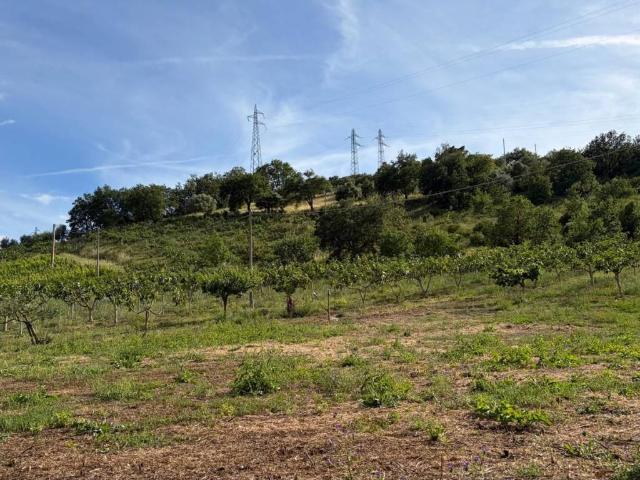 Terreno in vendita a Agropoli SA
