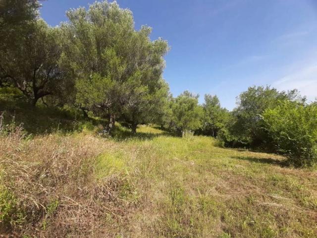 Terreno in vendita a Agropoli SA