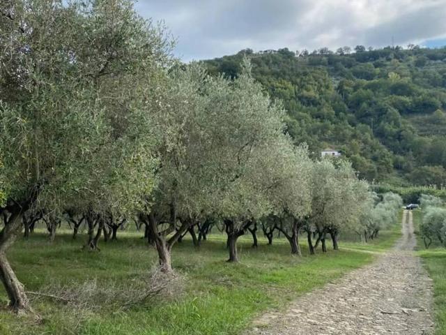 Terreno in vendita a Agropoli SA