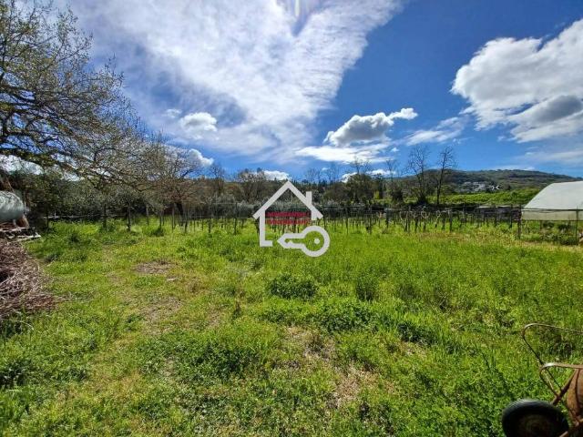 Terreno in vendita a Agropoli SA