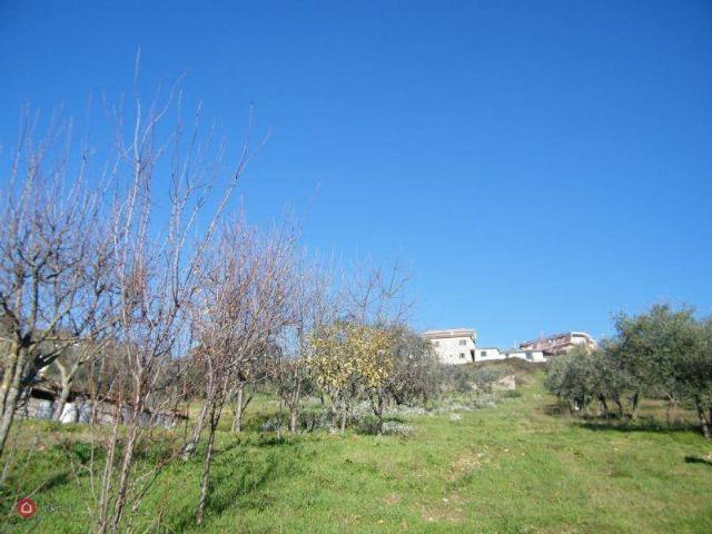 Terreno in vendita a Alatri FR