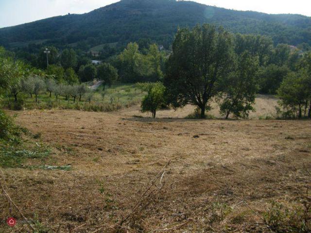 Terreno in vendita a Alatri FR