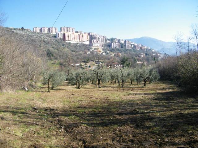 Terreno in vendita a Alatri FR