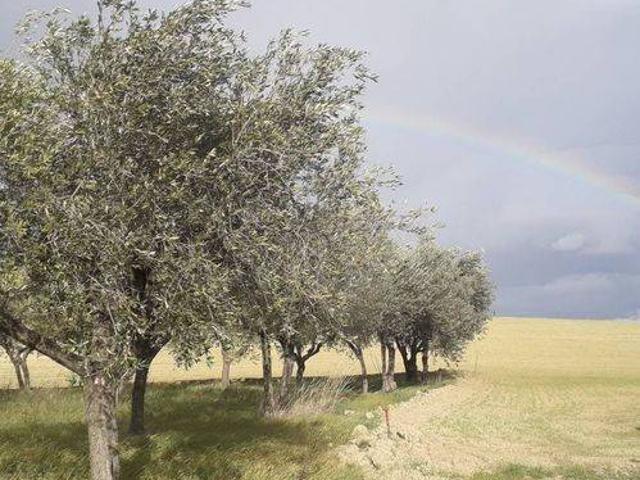 Terreno in vendita a Alanno PE