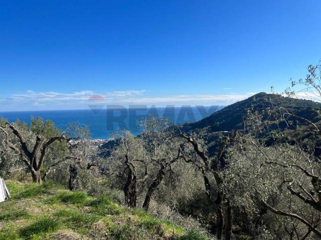 Terreno in vendita a Alassio SV