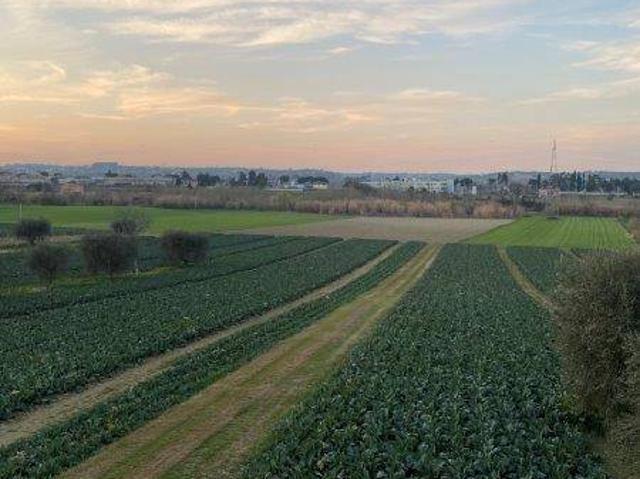 Terreno in vendita a Alba Adriatica TE