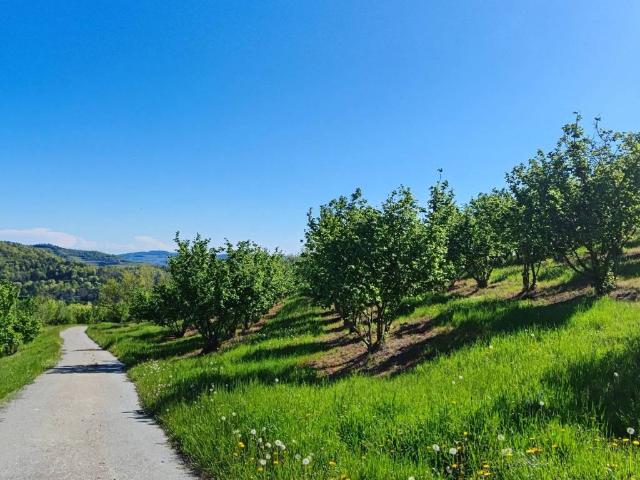 Terreno in vendita a Alba CN